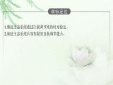 北师大版高中生物选择性必修二生态系统稳定性的维持课件