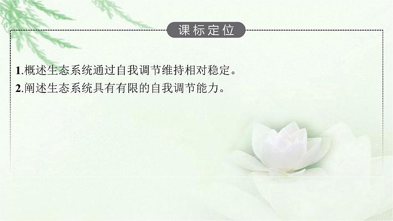 北师大版高中生物选择性必修二生态系统稳定性的维持课件03