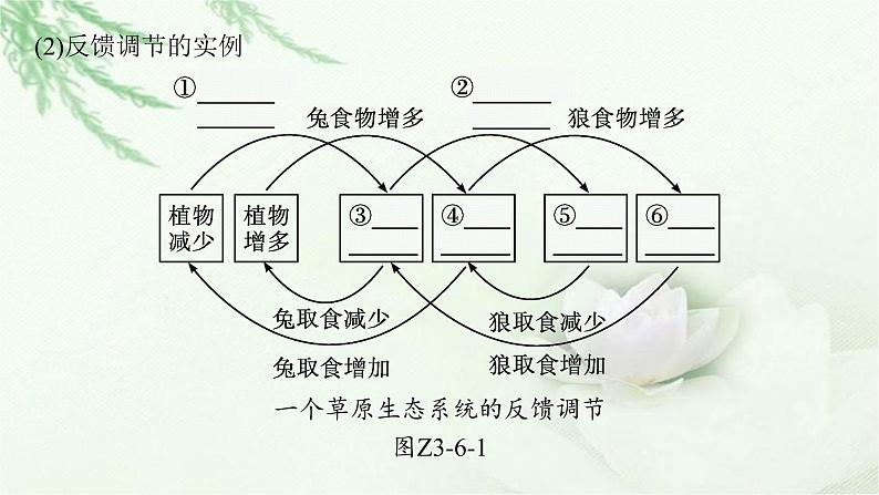 北师大版高中生物选择性必修二生态系统稳定性的维持课件07