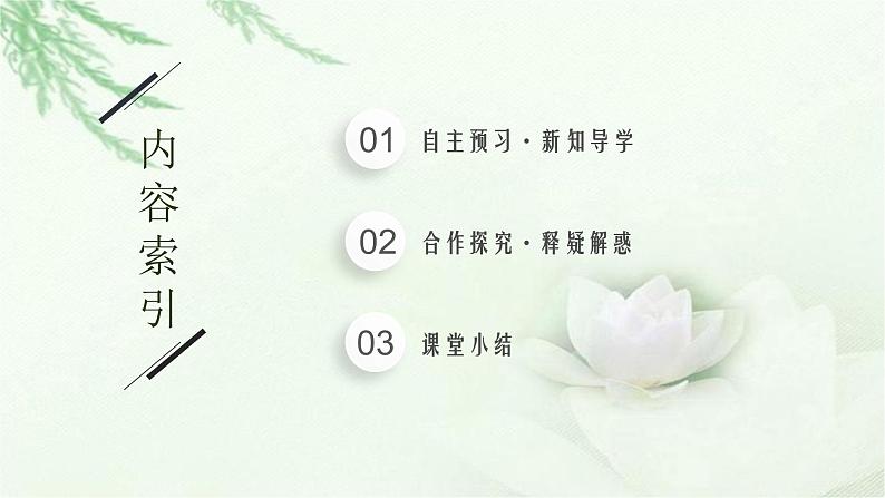 北师大版高中生物选择性必修二人口增长对环境的影响课件02