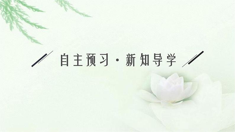 北师大版高中生物选择性必修二人口增长对环境的影响课件05
