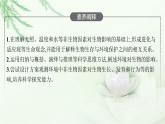 北师大版高中生物选择性必修二环境对生物的影响课件