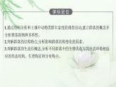 北师大版高中生物选择性必修二群落的结构课件