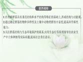 北师大版高中生物选择性必修二群落的结构课件