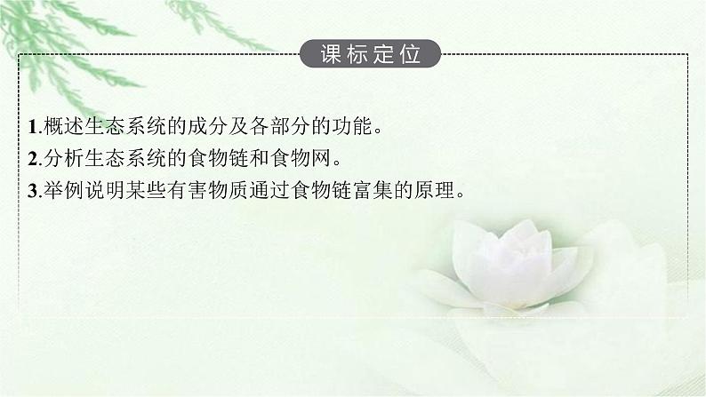 北师大版高中生物选择性必修二生态系统的结构课件03