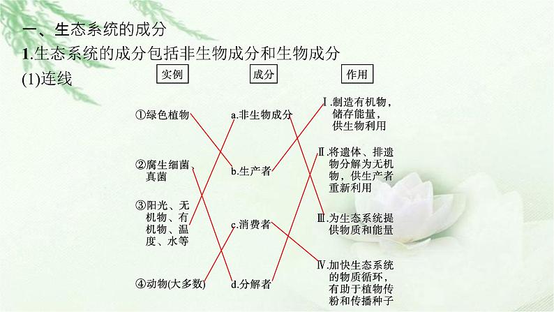 北师大版高中生物选择性必修二生态系统的结构课件06