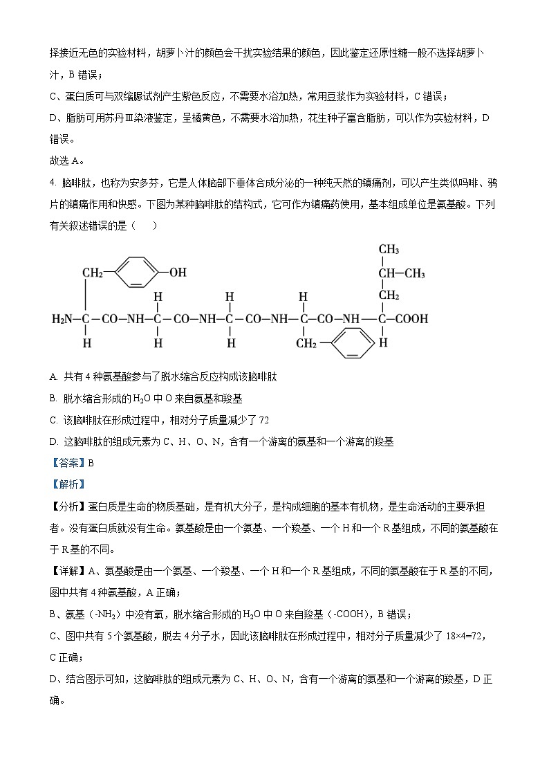 湖南省邵阳市2022-2023学年高一下学期第一次联考生物试题含解析第3页