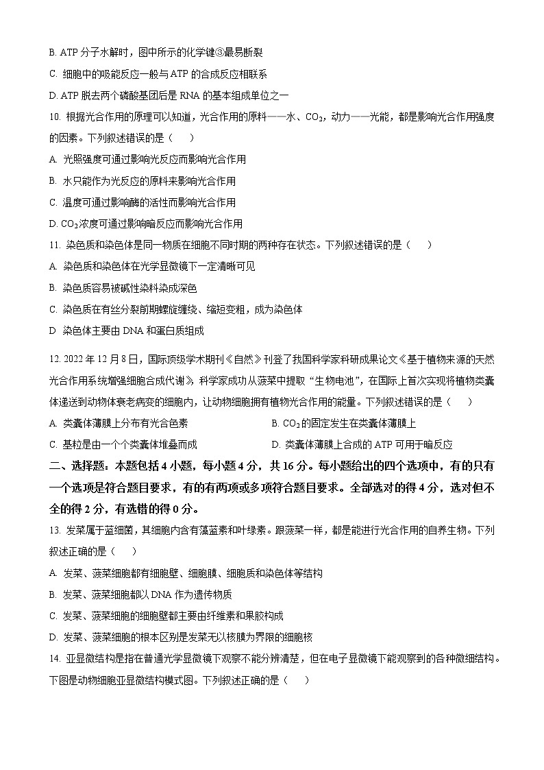 2023永州高一上学期期末生物试题含解析03