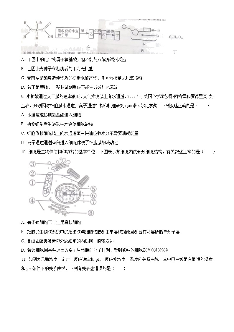 2023衡阳高一上学期期末生物试题含解析03