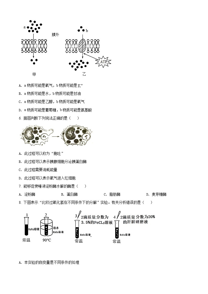 山西省太原市2021-2022学年高一上学期期末生物试题第2页