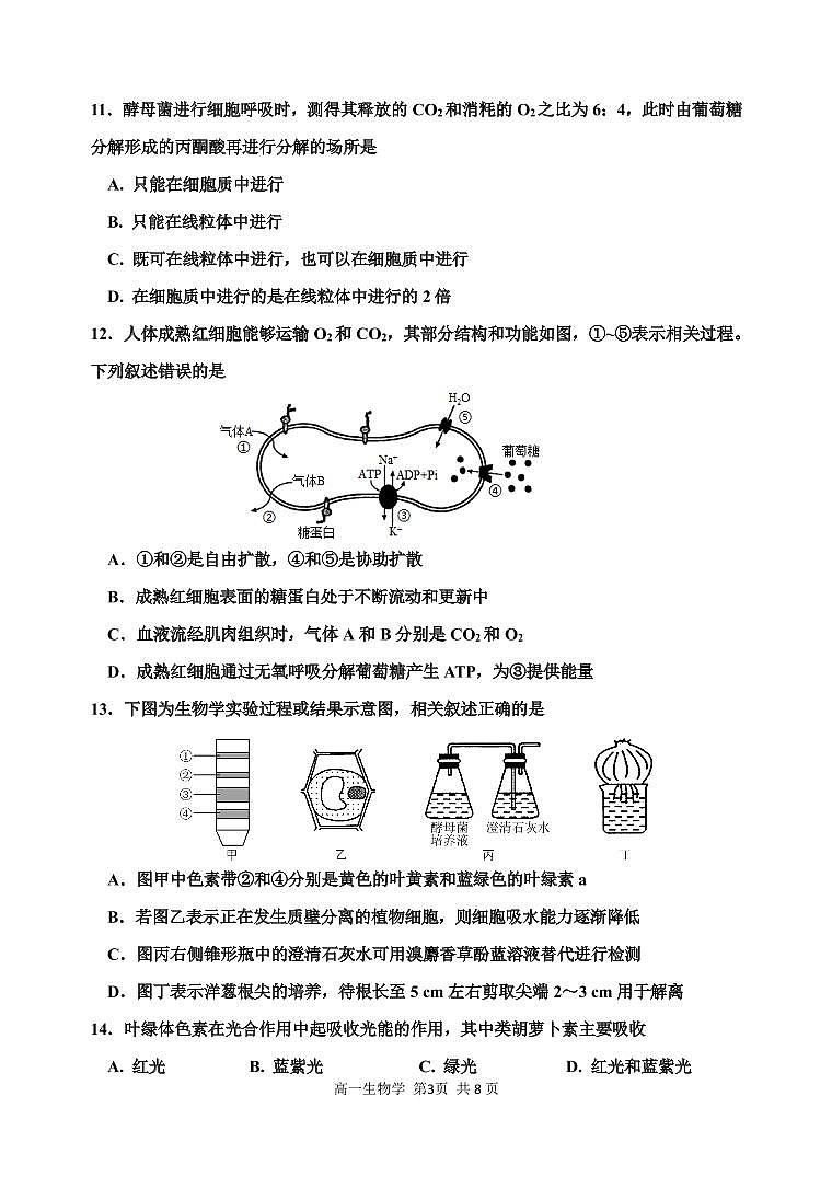 2023天津红桥区高一上学期1月期末生物试题PDF版答案第3页