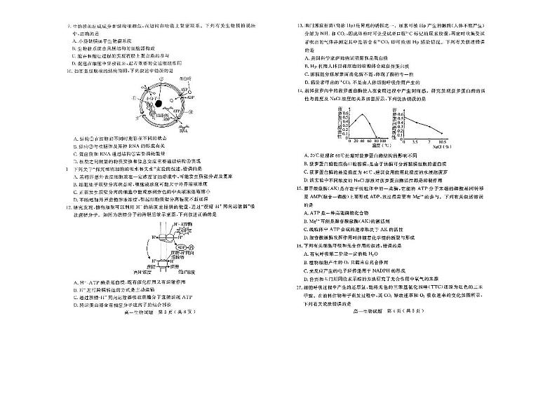 2023济宁高一上学期期末考试生物PDF版无答案第2页