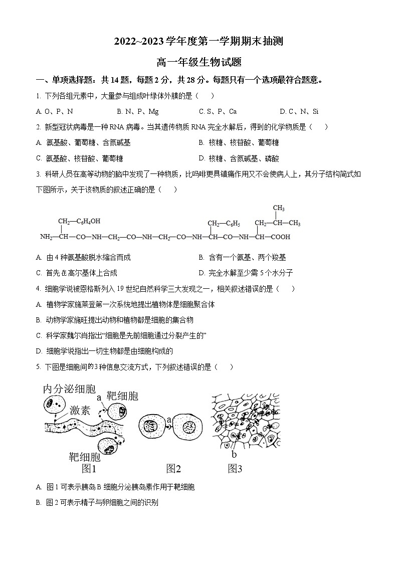 江苏省徐州市2022-2023学年高一上学期期末抽测生物试题无答案第1页