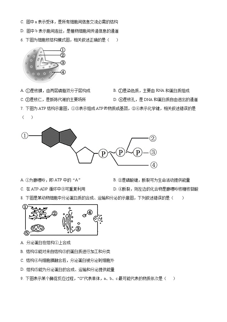 江苏省徐州市2022-2023学年高一上学期期末抽测生物试题无答案第2页