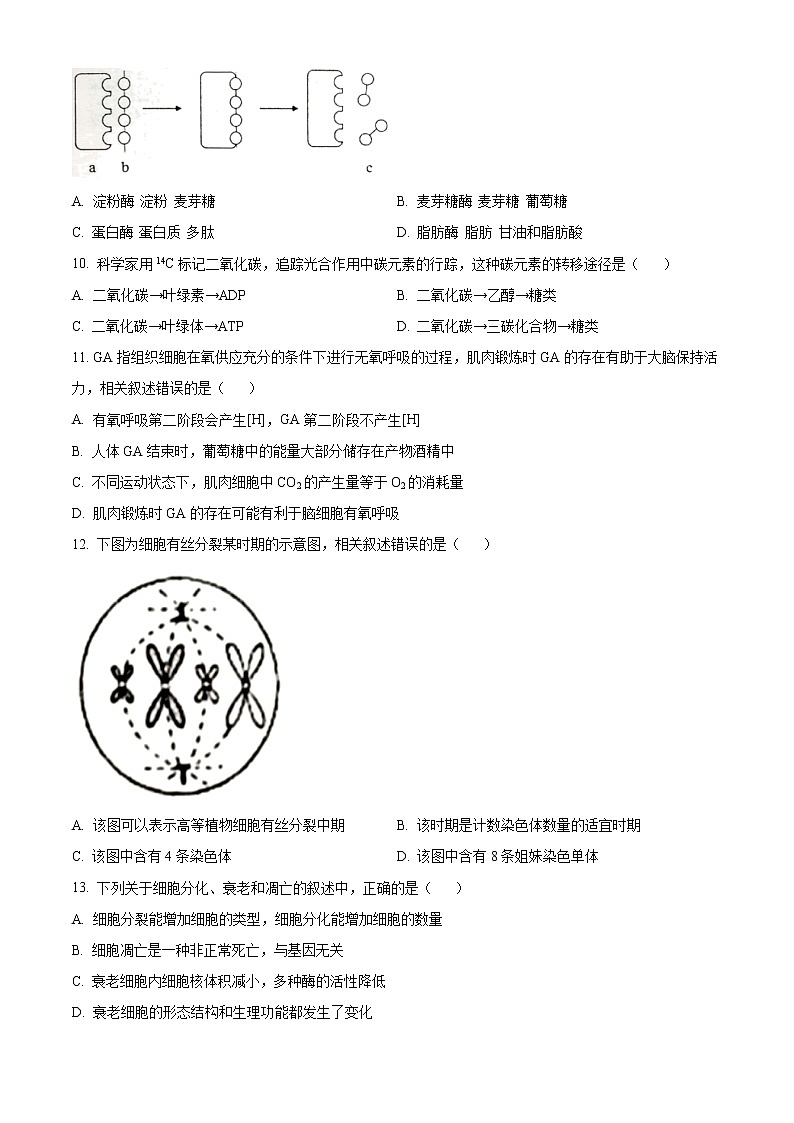 江苏省徐州市2022-2023学年高一上学期期末抽测生物试题无答案第3页