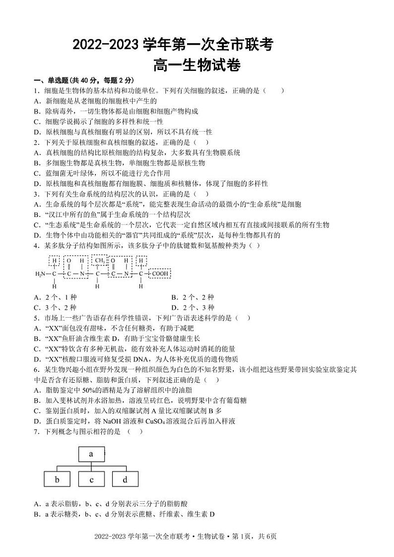甘肃省张掖市2022-2023学年高一下学期第一次全市联考生物试题第1页
