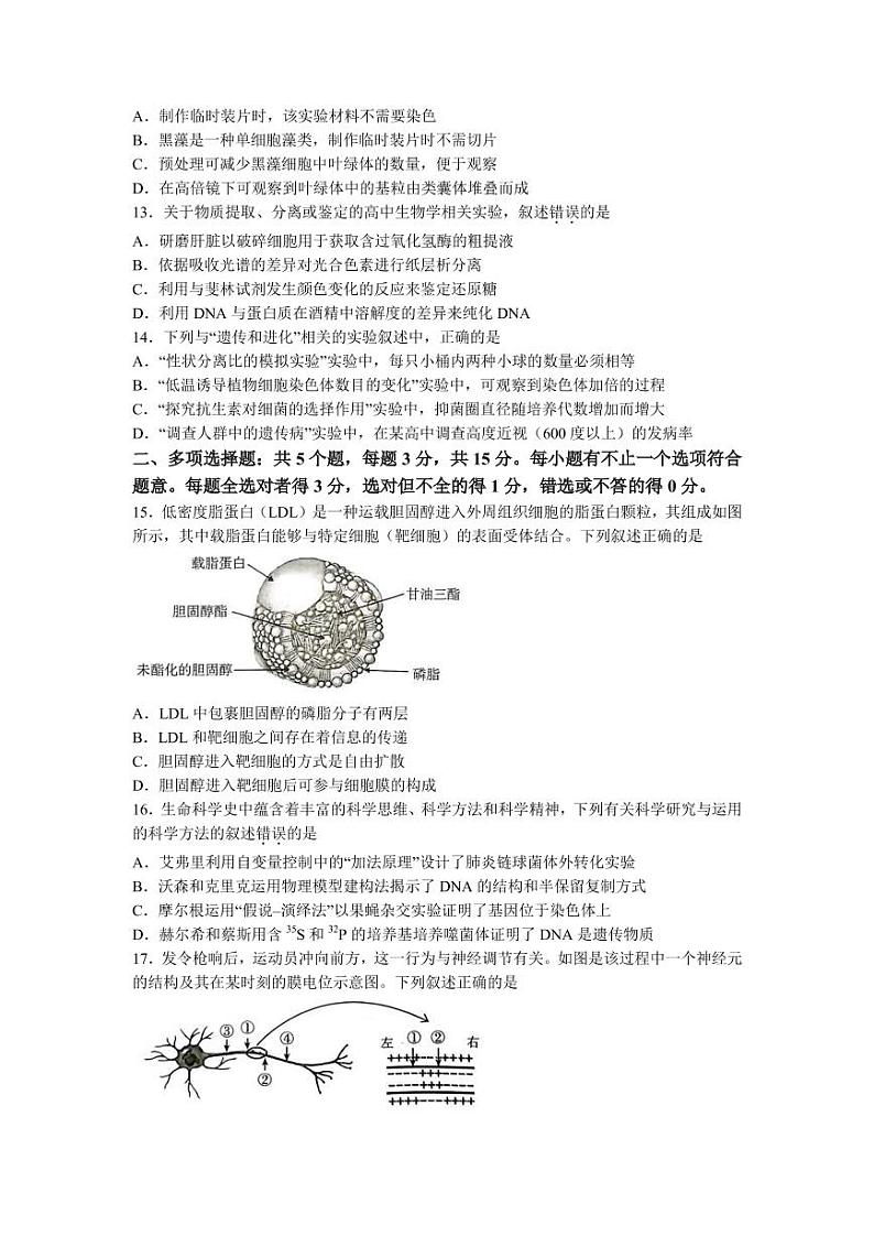 2023届江苏省无锡市高三上学期期中教学质量调研测试生物试题（PDF版）03