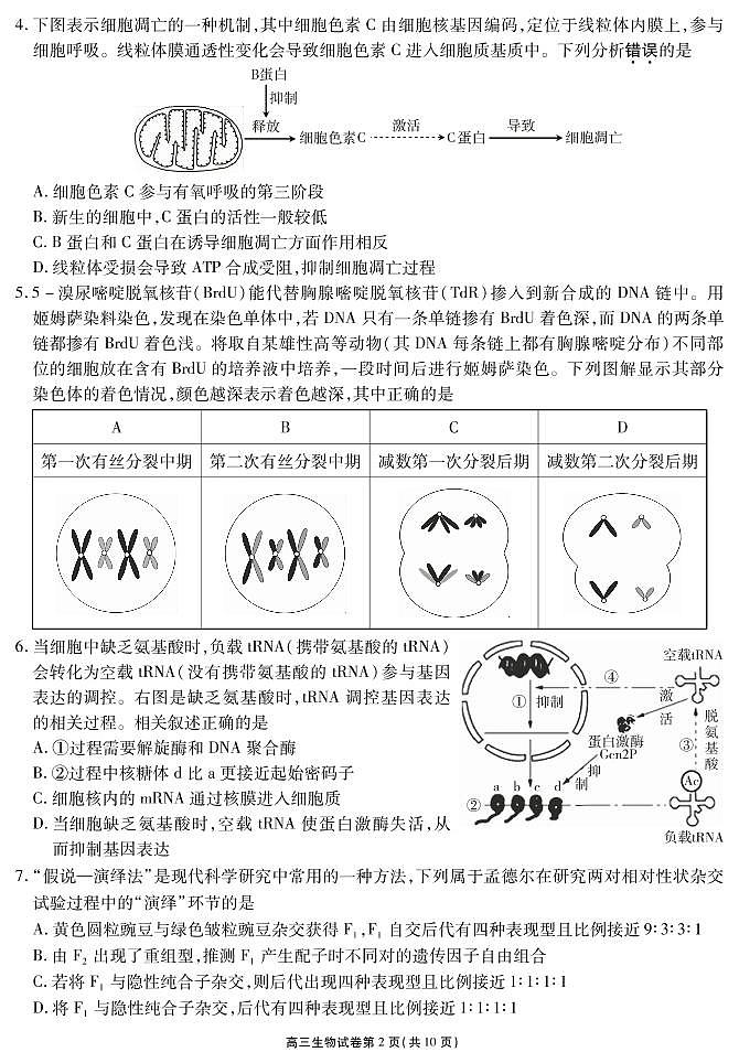 江苏省无锡市2021届高三上学期2月教学质量检测生物试题 PDF版含答案第2页