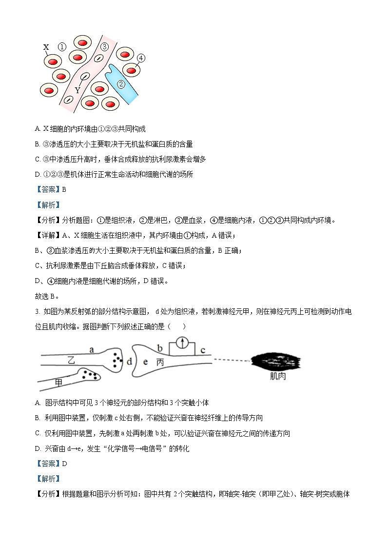 2023天津宁河区芦台一中高二上学期1月期末生物试题含解析02