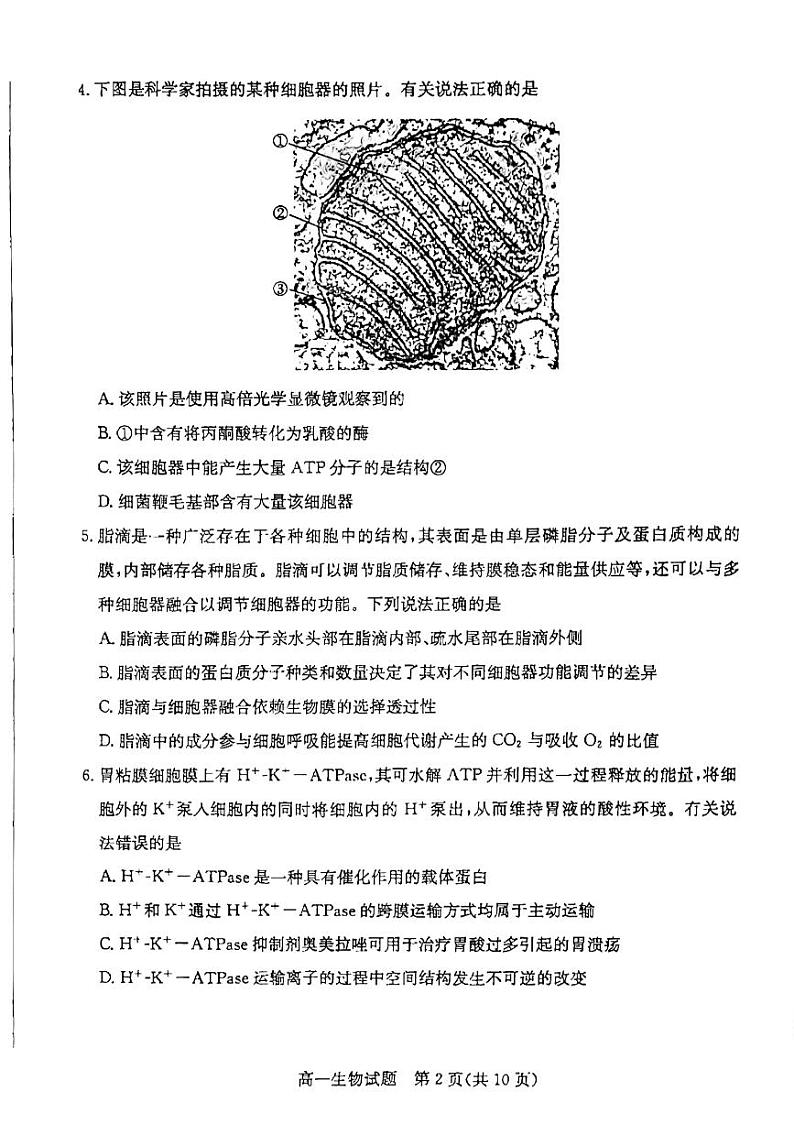 2023滨州高一上学期期末考试生物试题pdf版无答案02