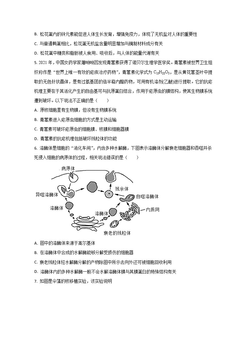 2023泰安高一上学期期末考试生物试题含解析02
