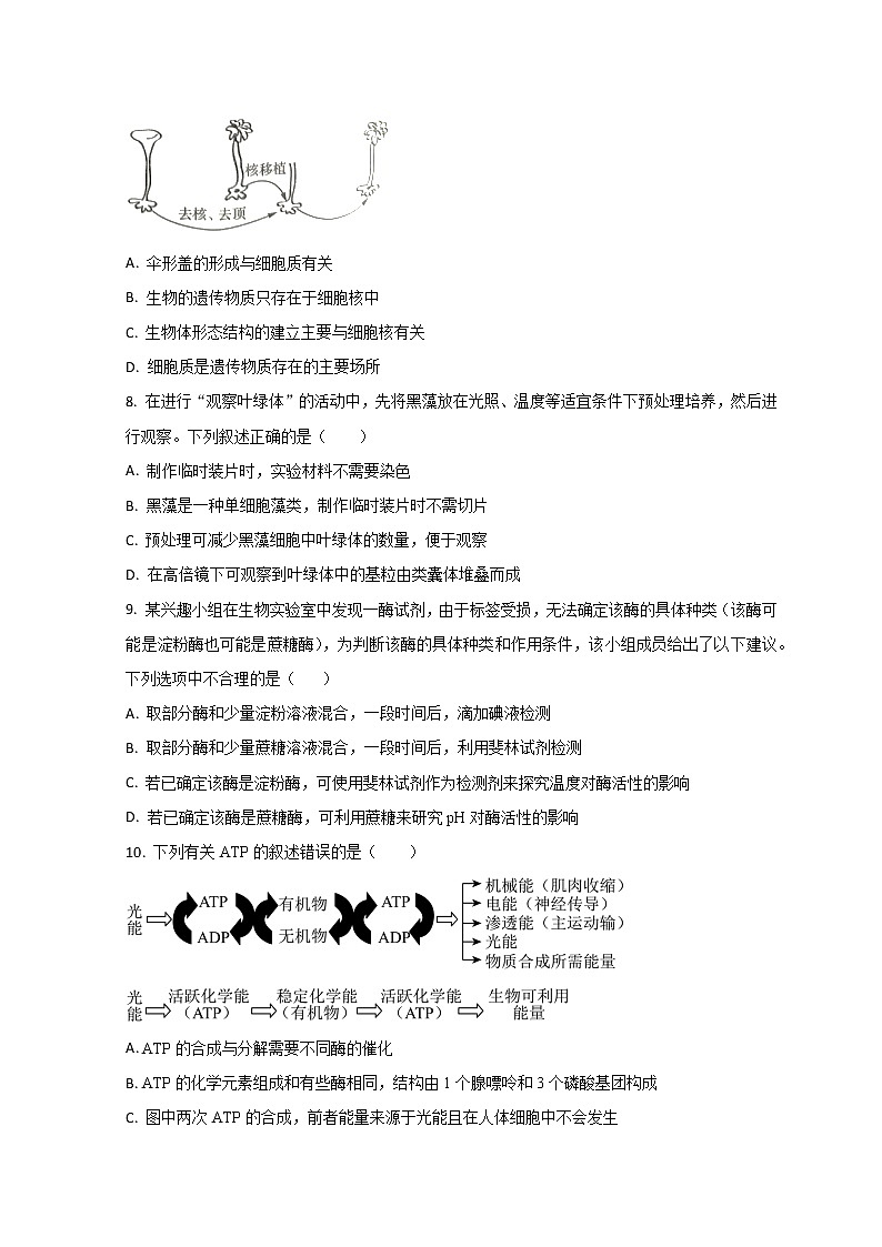 2023泰安高一上学期期末考试生物试题含解析03
