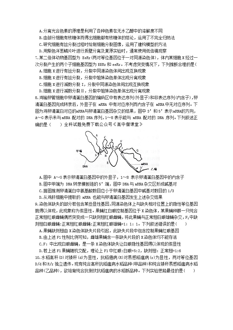 2023届安徽省淮北市高三下学期一模试题（2月）生物 Word版02