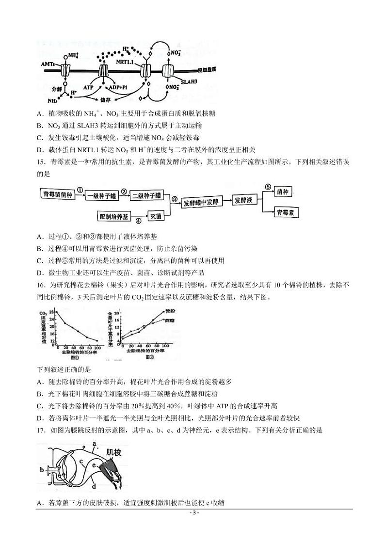 2022-2023学年浙江省浙南名校联盟高三上学期第一次联考试题 生物（PDF版）第3页
