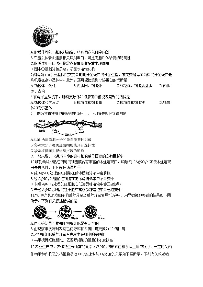 内蒙古包头市2022-2023学年高一上学期期末生物试题第2页