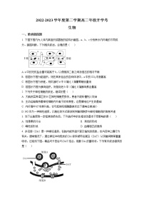 安徽省名校2022-2023学年高二生物下学期开学考试试题（Word版附答案）