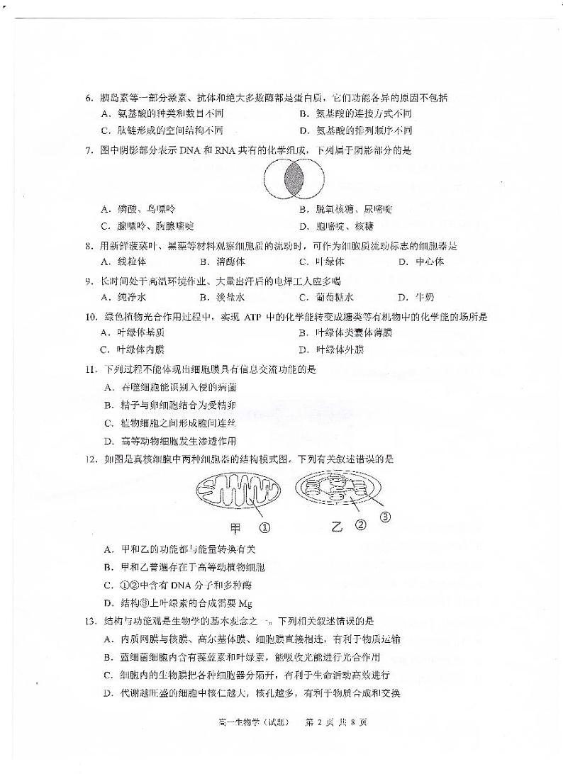 广东省广州市六区2022-2023学年高一上学期期末教学质量监测生物试题02