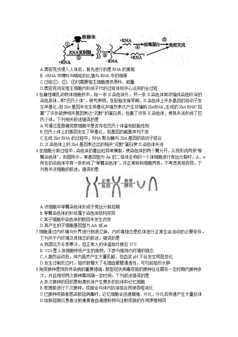2023沈阳高三教学质量检测（一模）生物试题含答案02