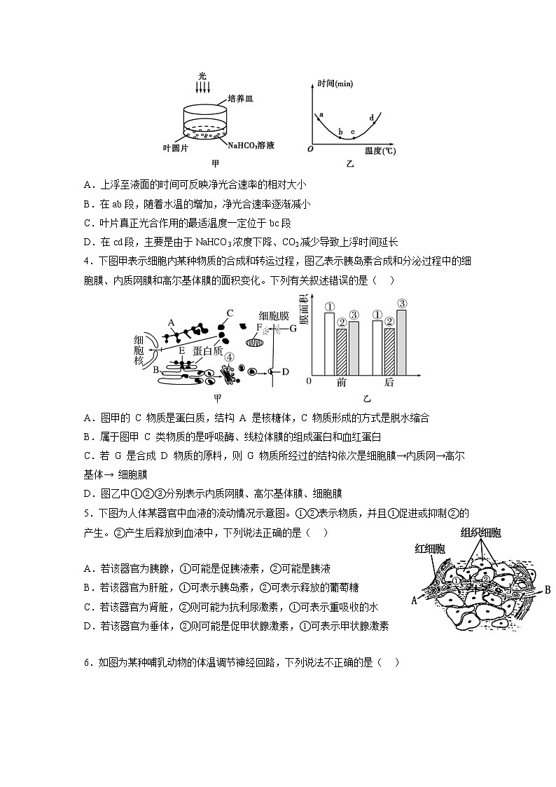2023辽宁省东北育才学校高三高考适应性测试（二）生物试题含答案02