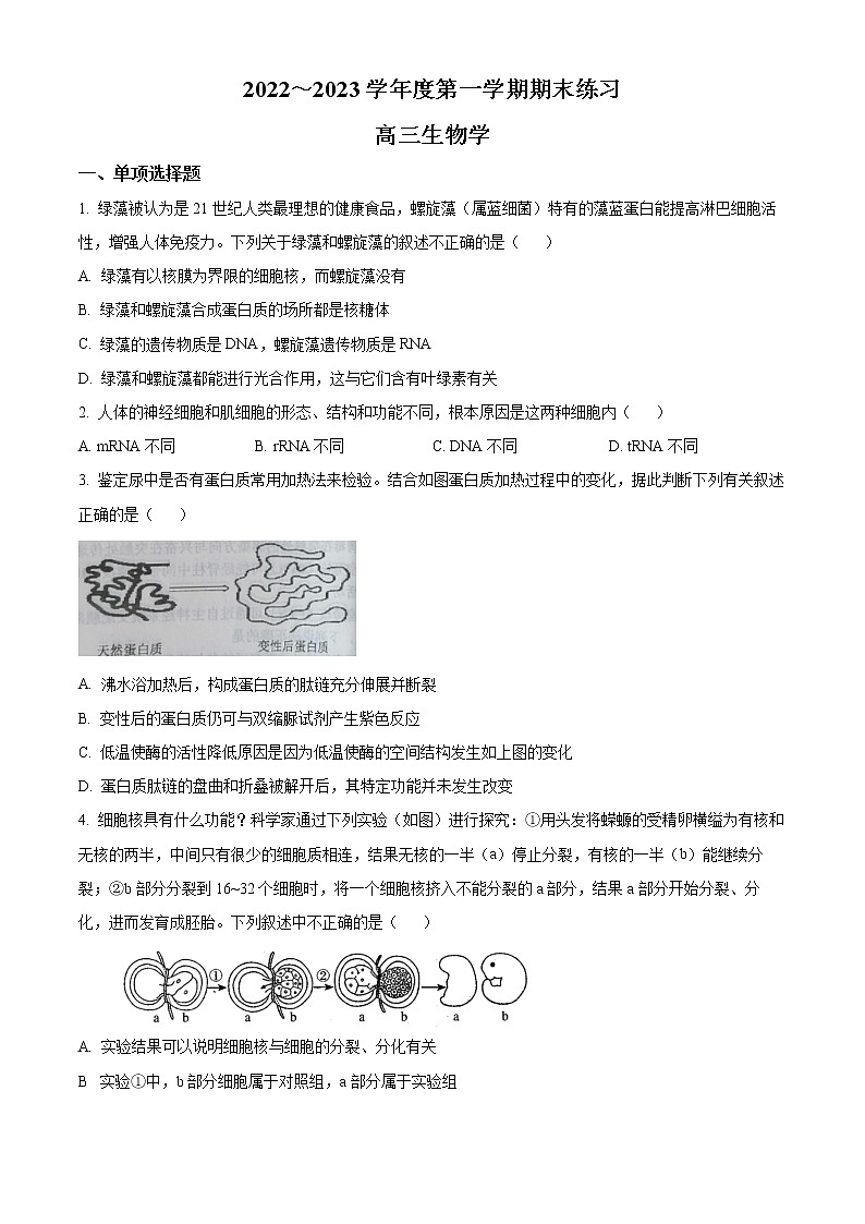2023天津市部分区高三上学期期末练习生物试题含答案01