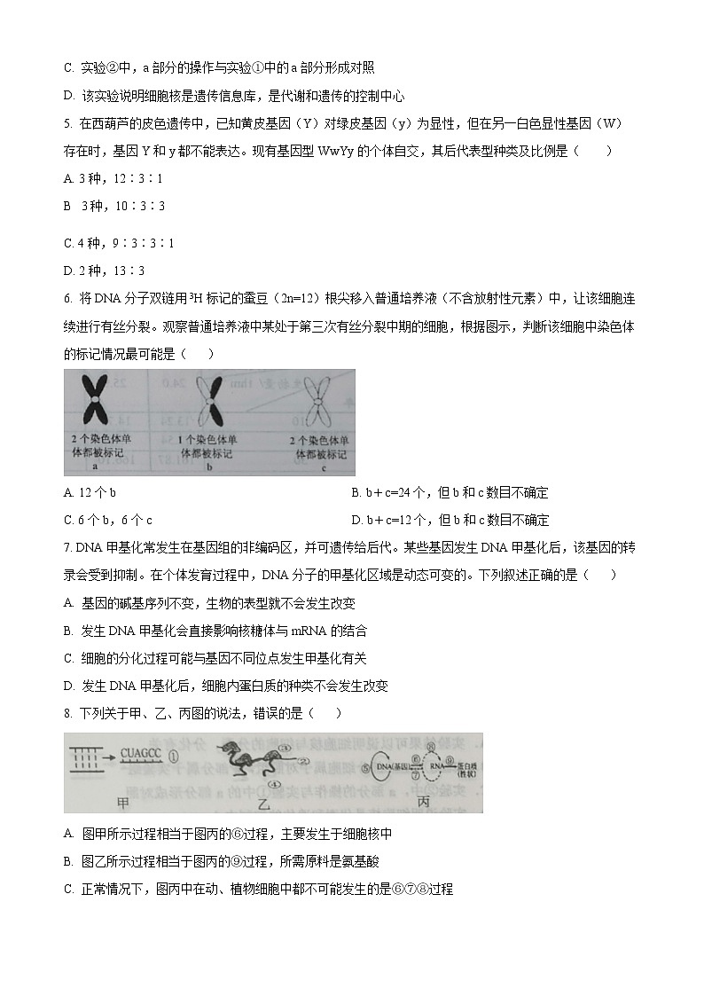 2023天津市部分区高三上学期期末练习生物试题含答案02
