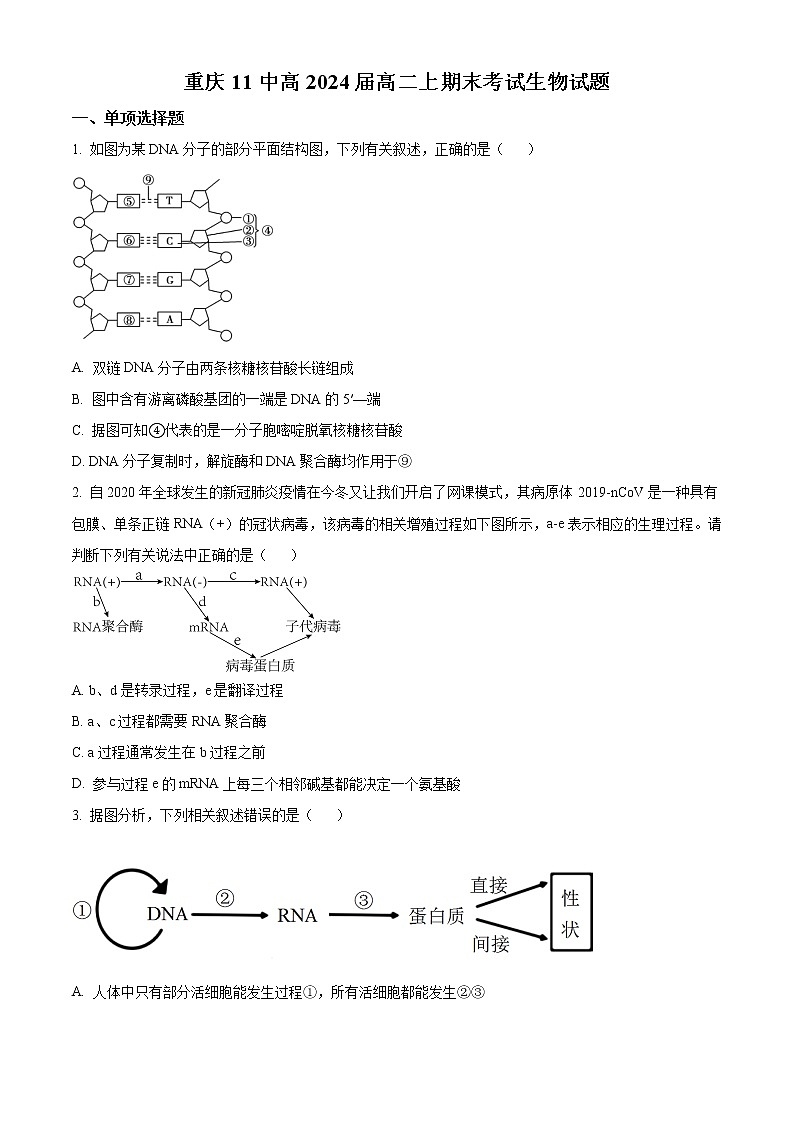 重庆市十一中2022-2023学年高二上学期期末生物试题无答案第1页