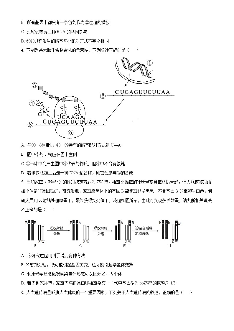 重庆市十一中2022-2023学年高二上学期期末生物试题无答案第2页