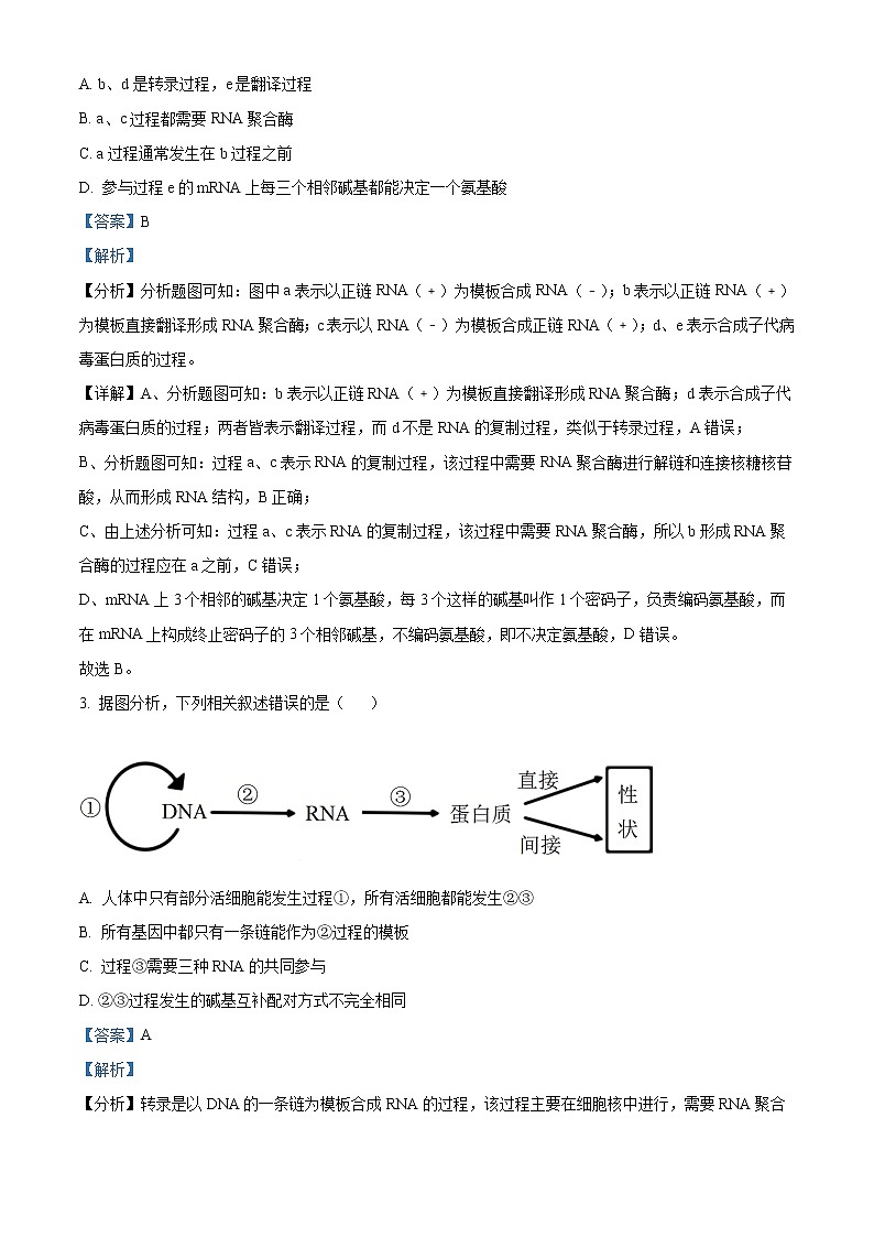 重庆市十一中2022-2023学年高二上学期期末生物试题含解析第2页