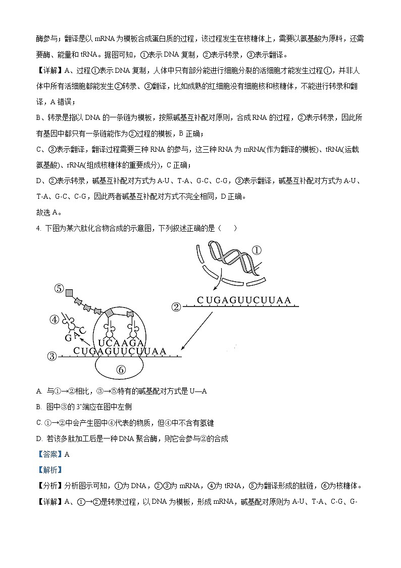 重庆市十一中2022-2023学年高二上学期期末生物试题含解析第3页