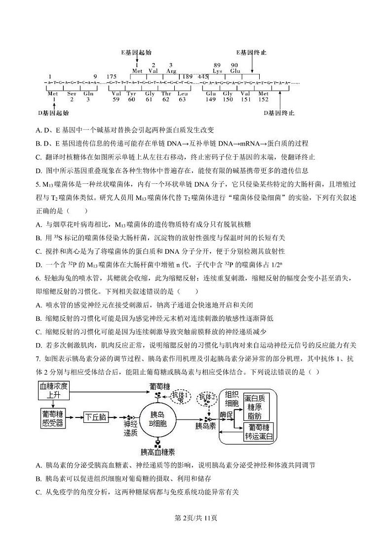 2023届湖南省长沙市湖南师大附中高三考试卷（六）生物试题（原卷版）第2页