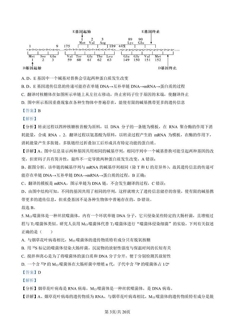 2023届湖南省长沙市湖南师大附中高三考试卷（六）生物试题（解析版）第3页