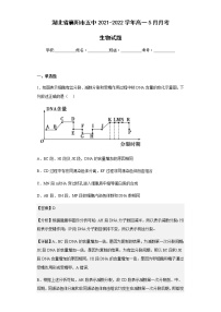 2021-2022学年湖北省襄阳市五中高一5月月考生物试题含解析