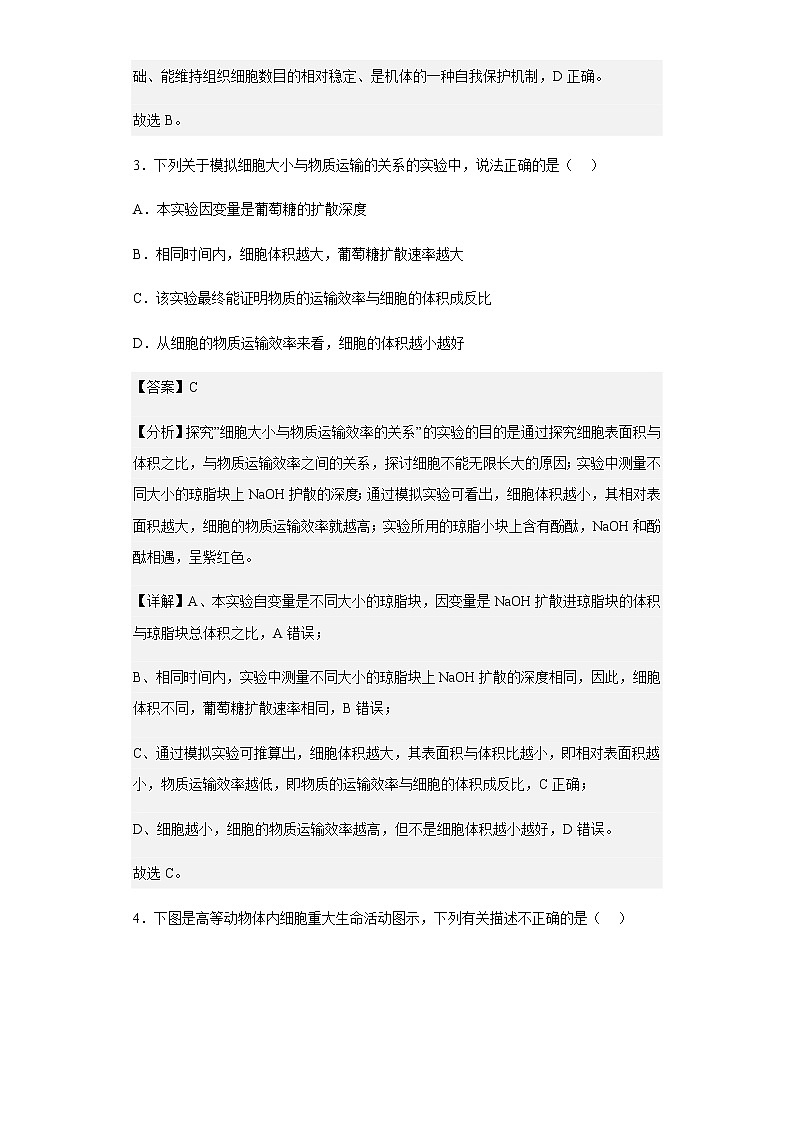 2021-2022学年湖北省襄阳市五中高一5月月考生物试题含解析第3页