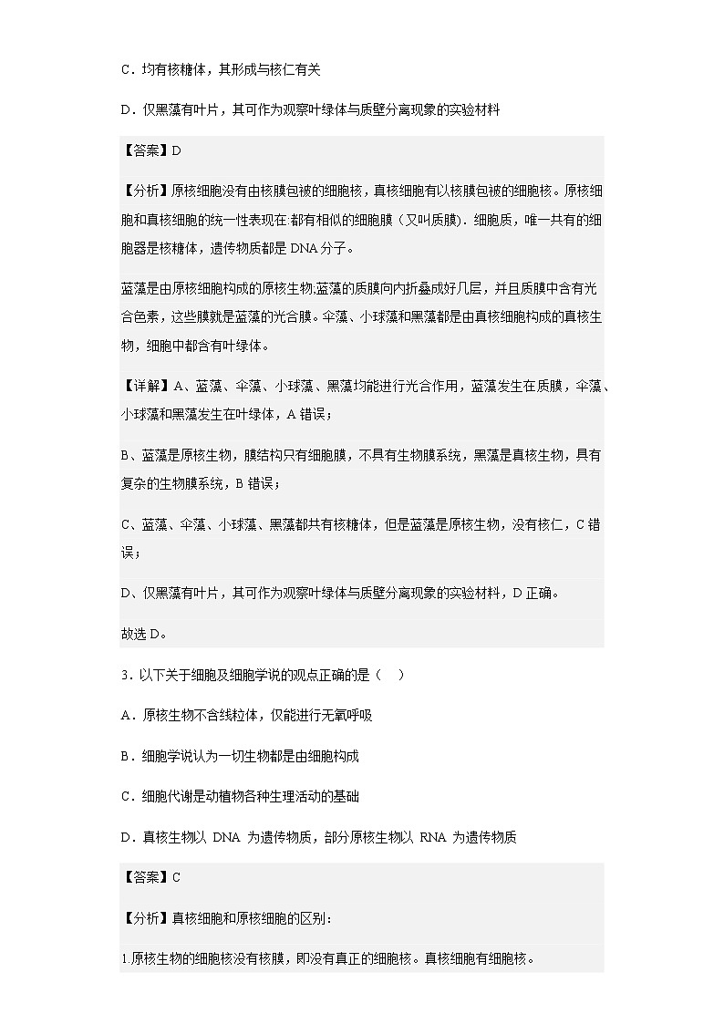 2022-2023学年湖北省襄阳市四中高一12月月考生物试题含解析第2页