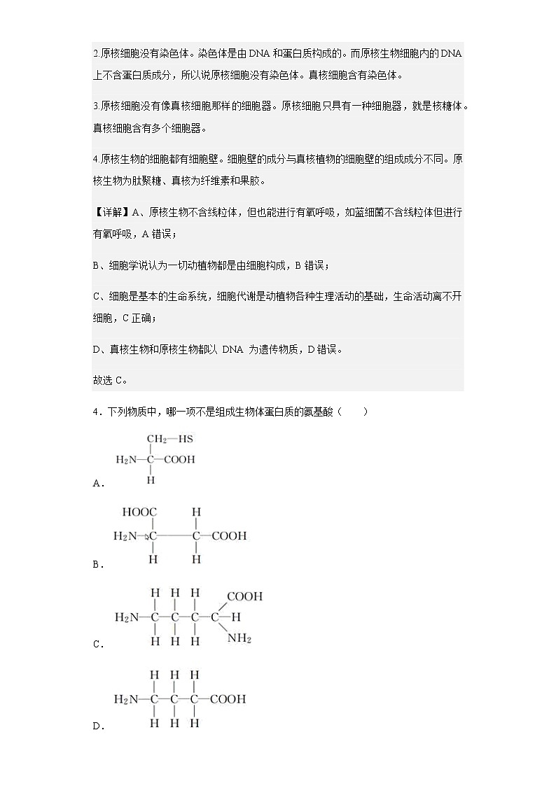 2022-2023学年湖北省襄阳市四中高一12月月考生物试题含解析第3页