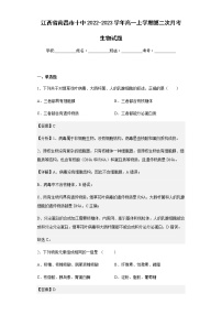 2022-2023学年江西省南昌市十中高一上学期第二次月考生物试题含解析