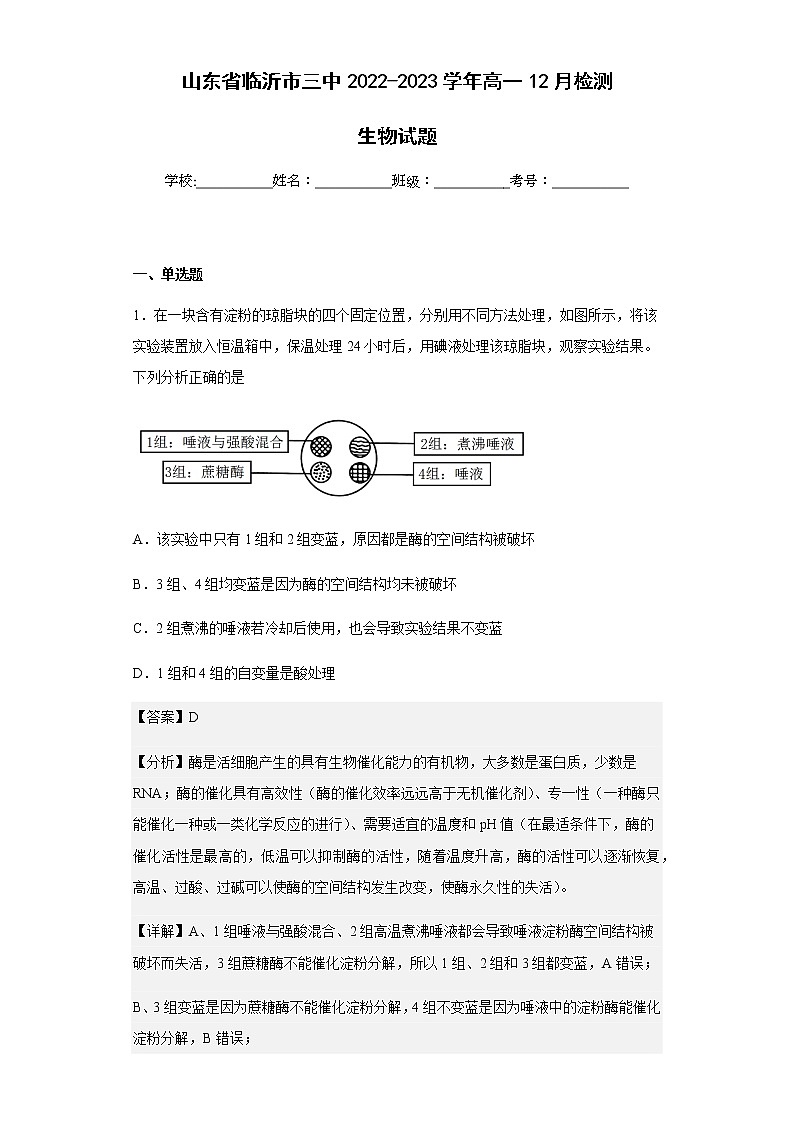 2022-2023学年山东省临沂市三中高一12月检测生物试题含解析第1页