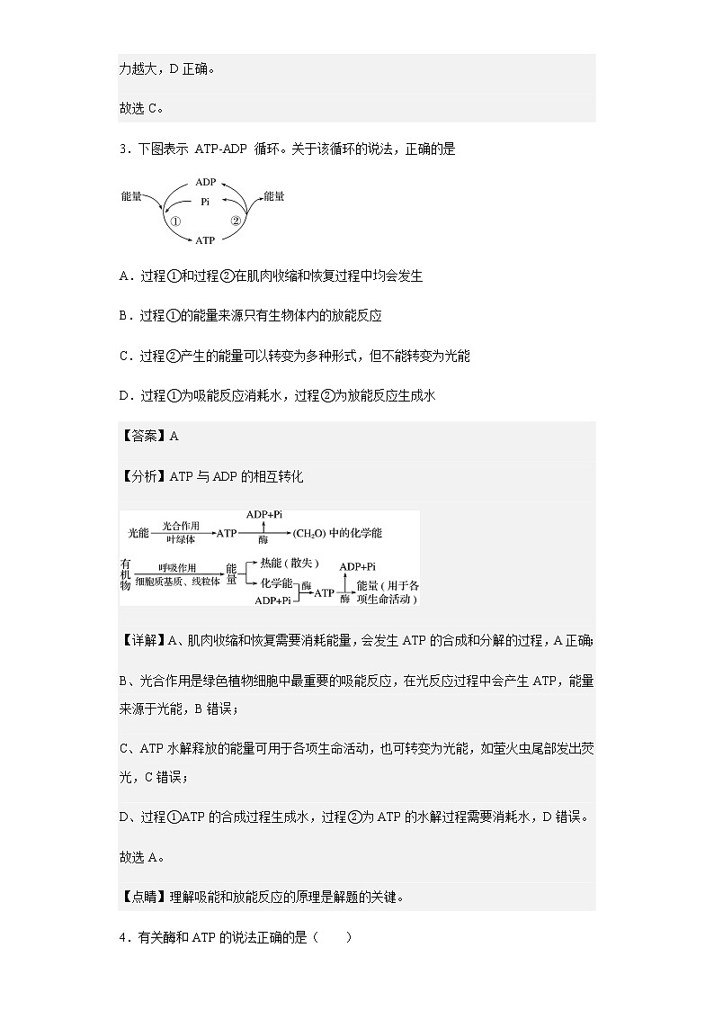 2022-2023学年山东省临沂市三中高一12月检测生物试题含解析第3页