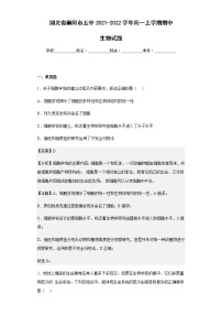 2021-2022学年湖北省襄阳市五中高一上学期期中生物试题含解析