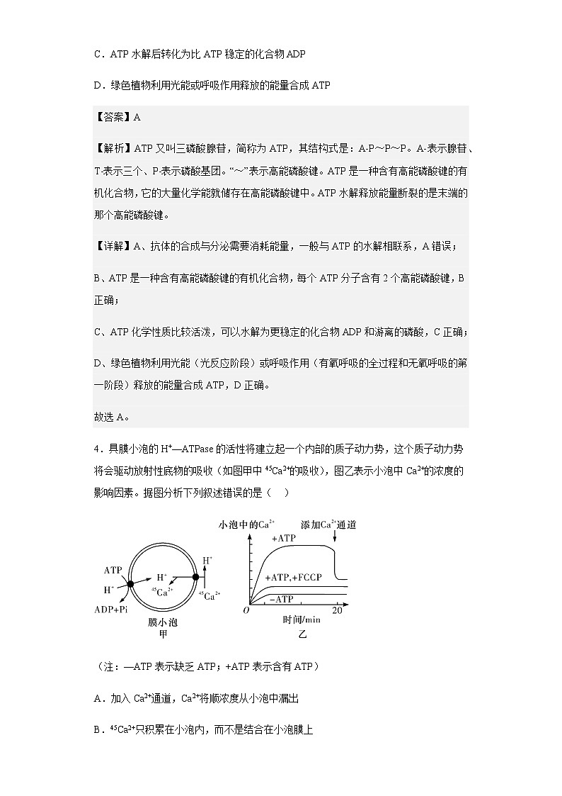 2021-2022学年湖北省襄阳市五中高一下学期期中生物试题含解析03